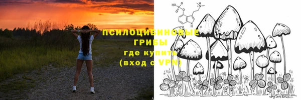 мяу мяу мука Остров