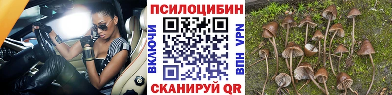 OMG рабочий сайт  Покровск  Галлюциногенные грибы Psilocybine cubensis 